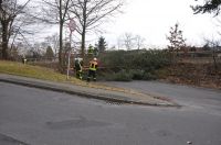 02_2010_Baum_auf_Strasse 03